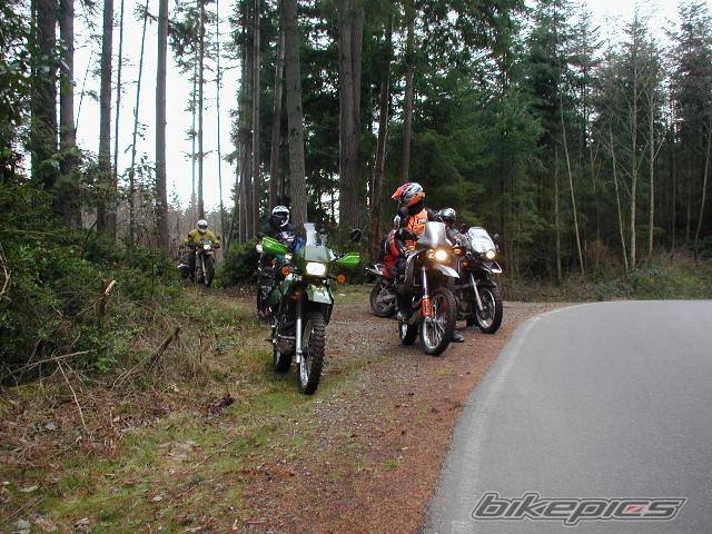 Photo 296314