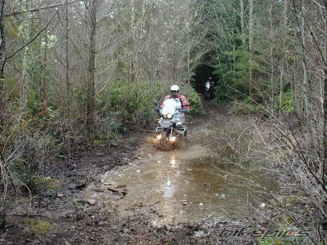 Photo 296320