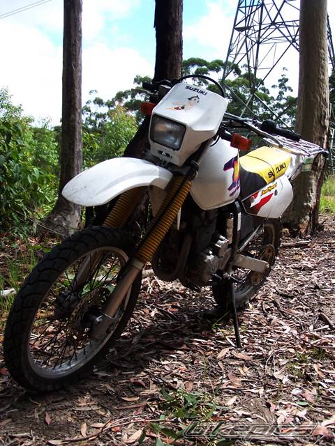 Photo 296326