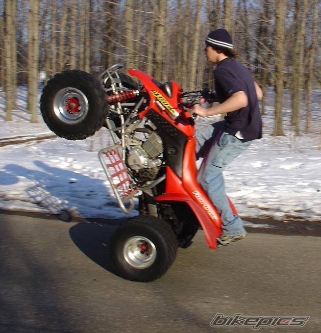 Photo 296386