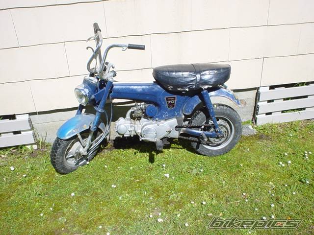Photo 296392