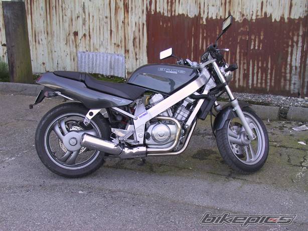 Photo 296399