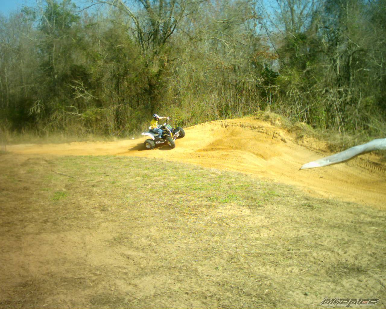 Photo 296401