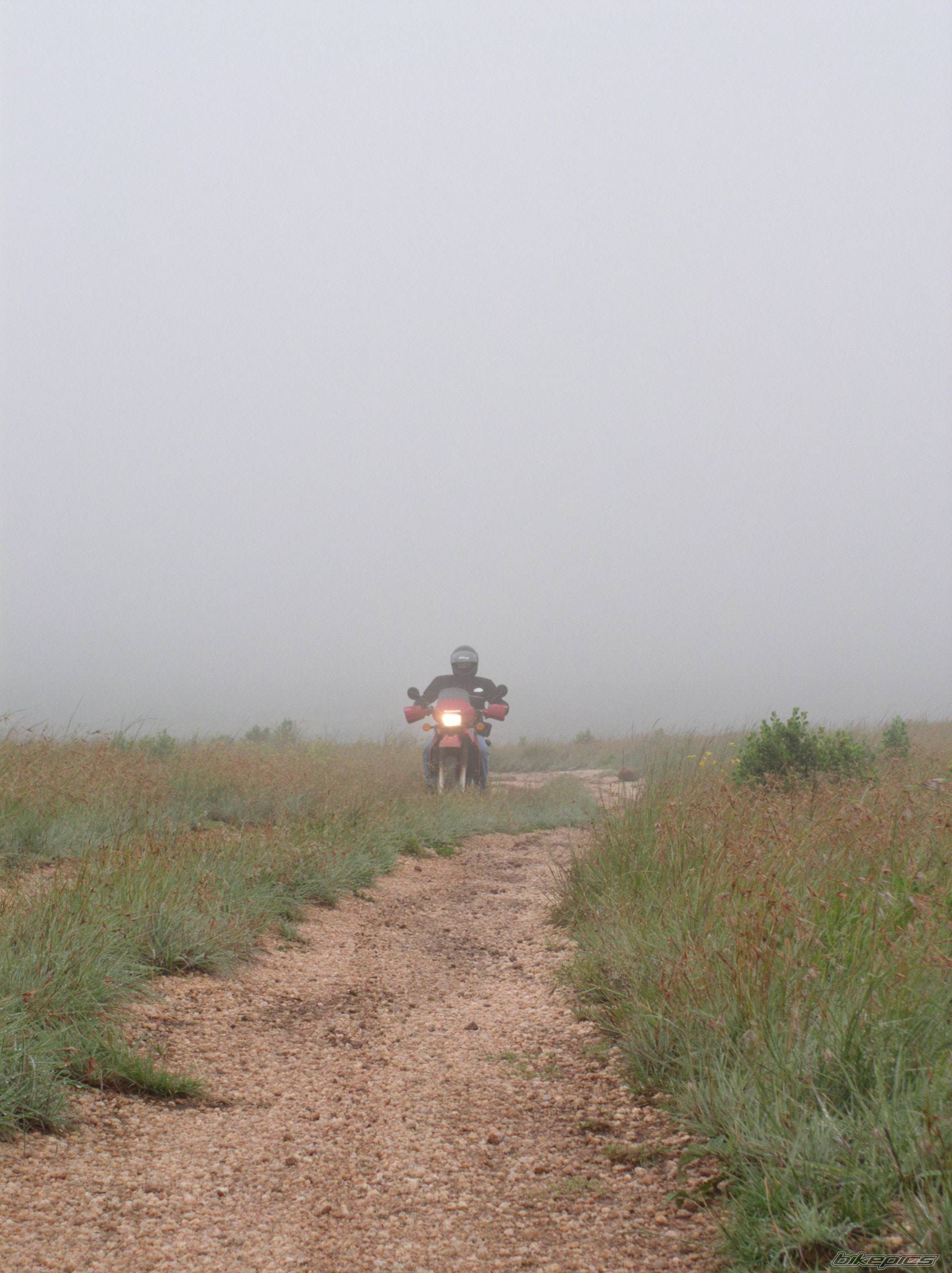 Photo 296413