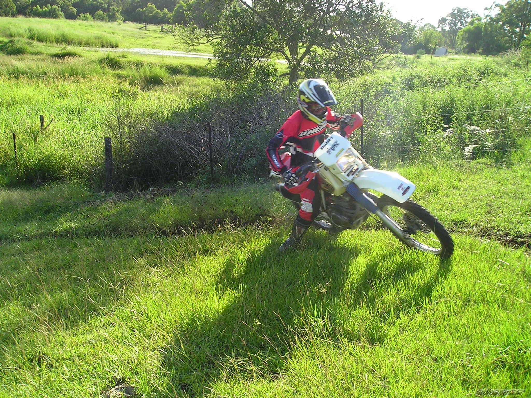 Photo 296480
