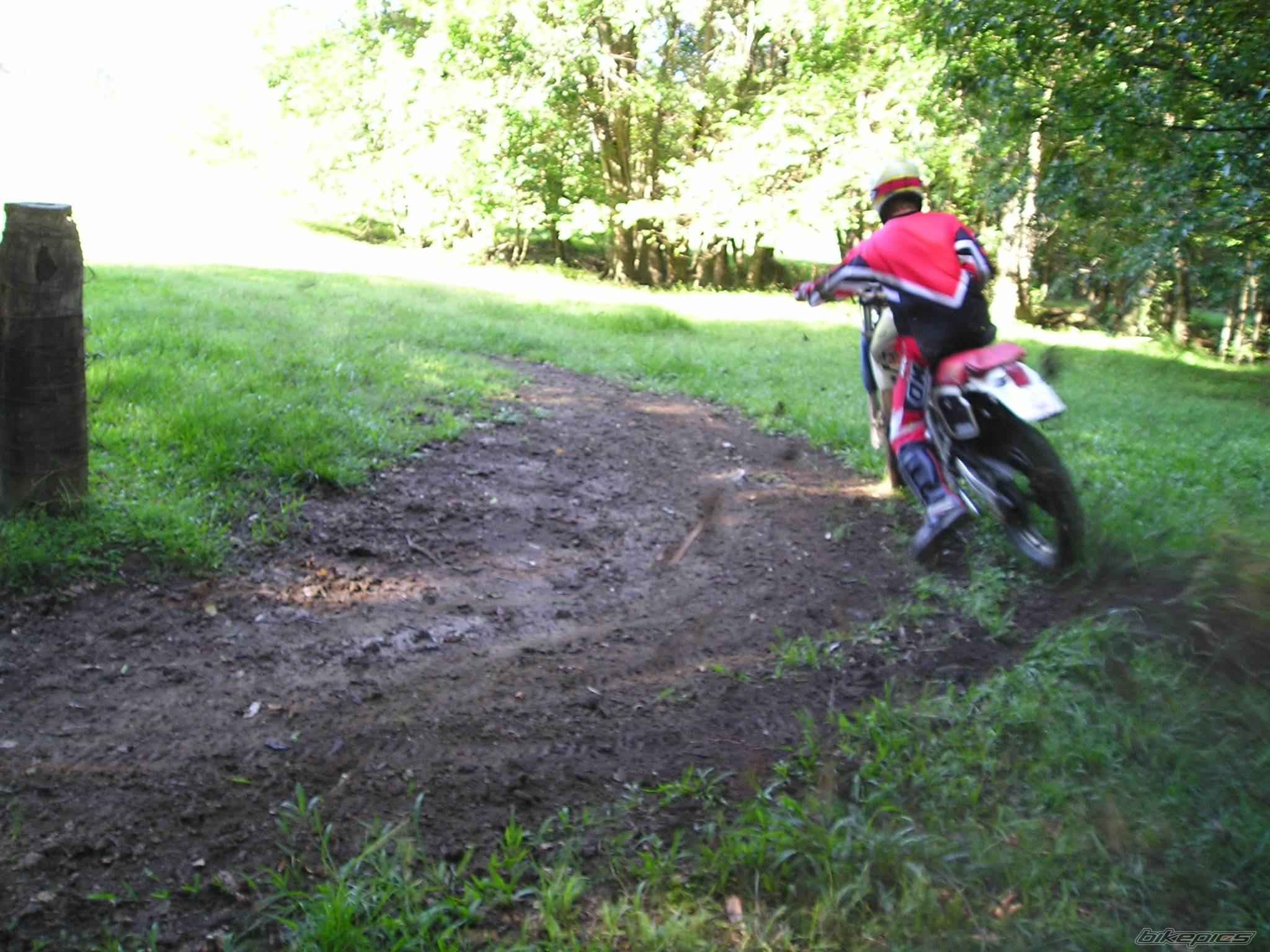 Photo 296483