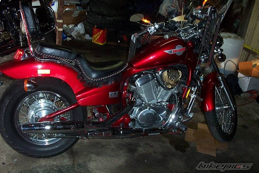Photo 296520