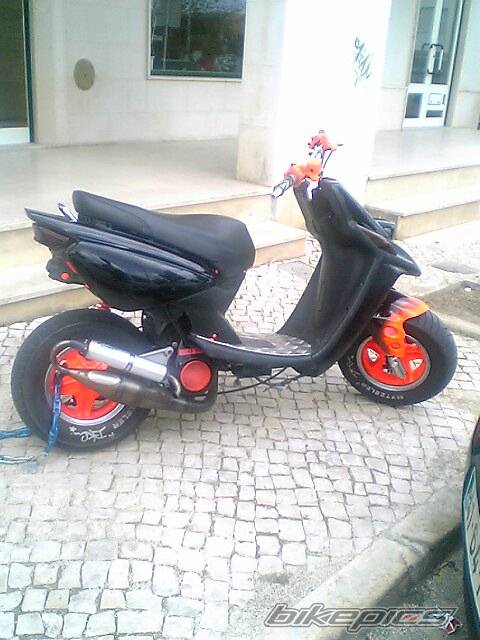 Photo 296527