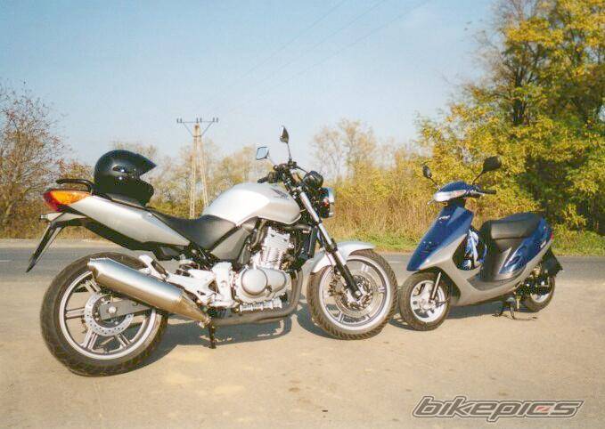 Photo 296540