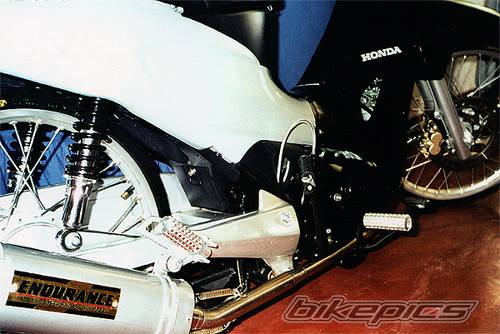 Photo 296561