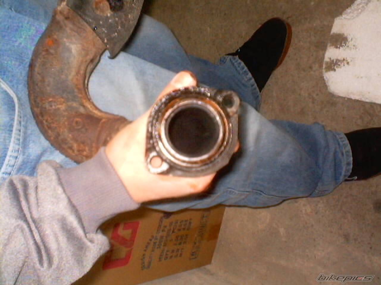 Photo 296569