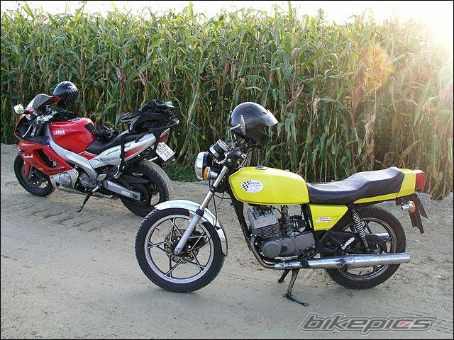 Photo 296573