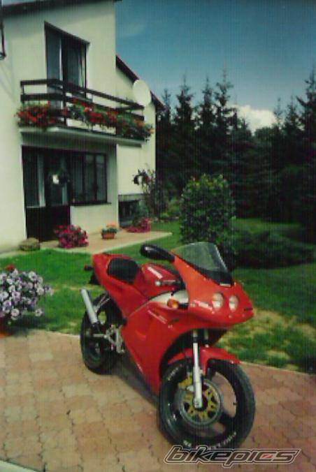 Photo 296574