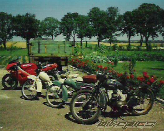Photo 296575