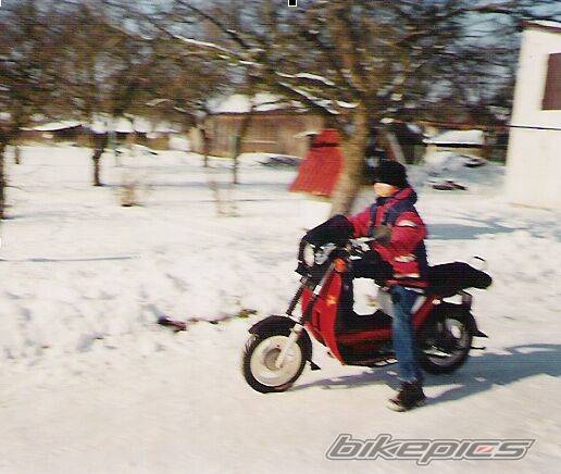 Photo 296587