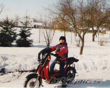 Photo 296588