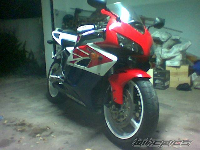 Photo 296628
