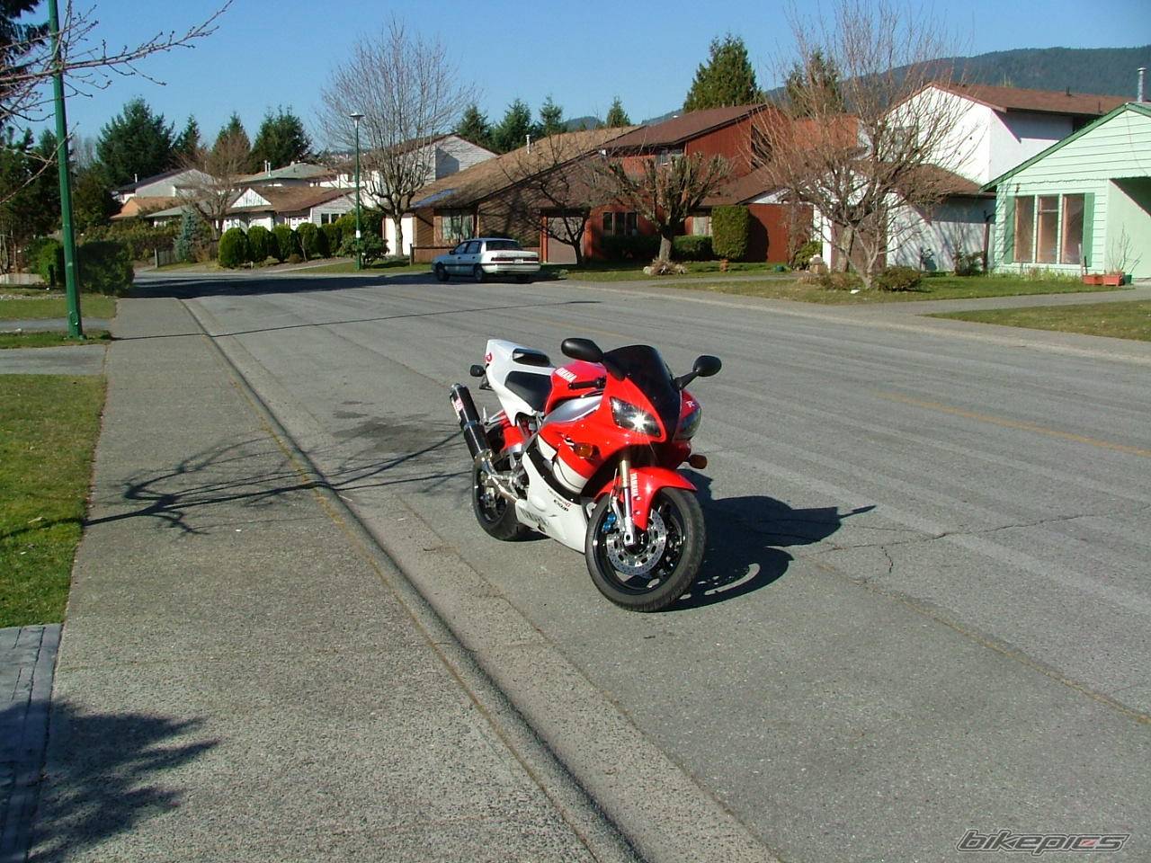 Photo 296658