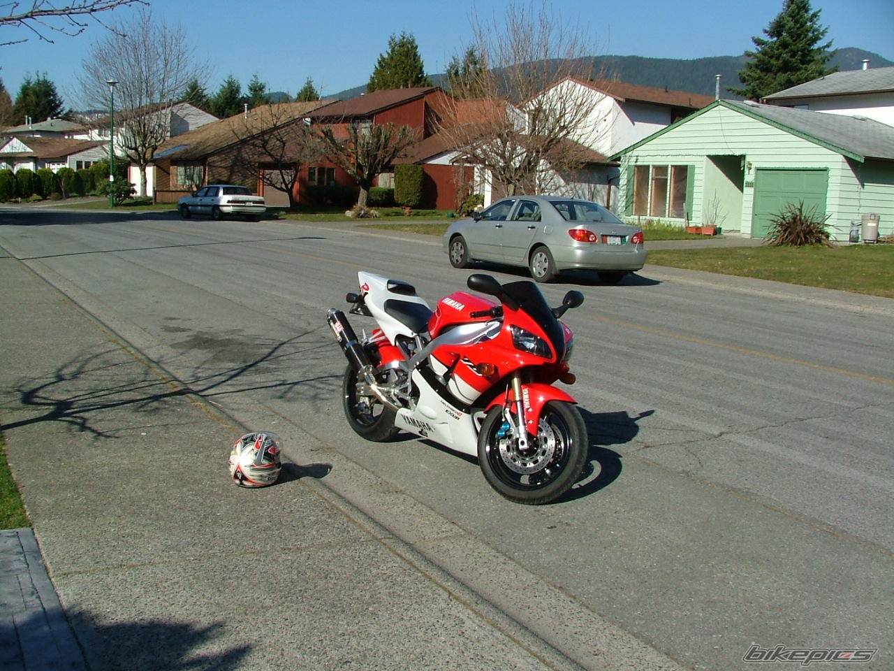 Photo 296659