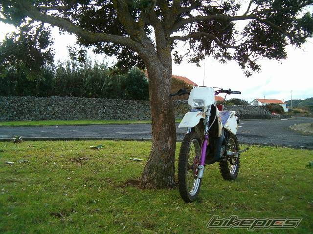 Photo 296665