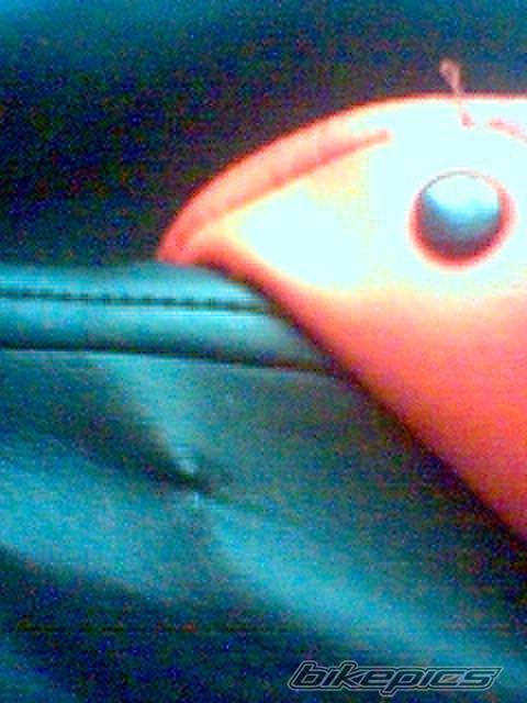 Photo 296743