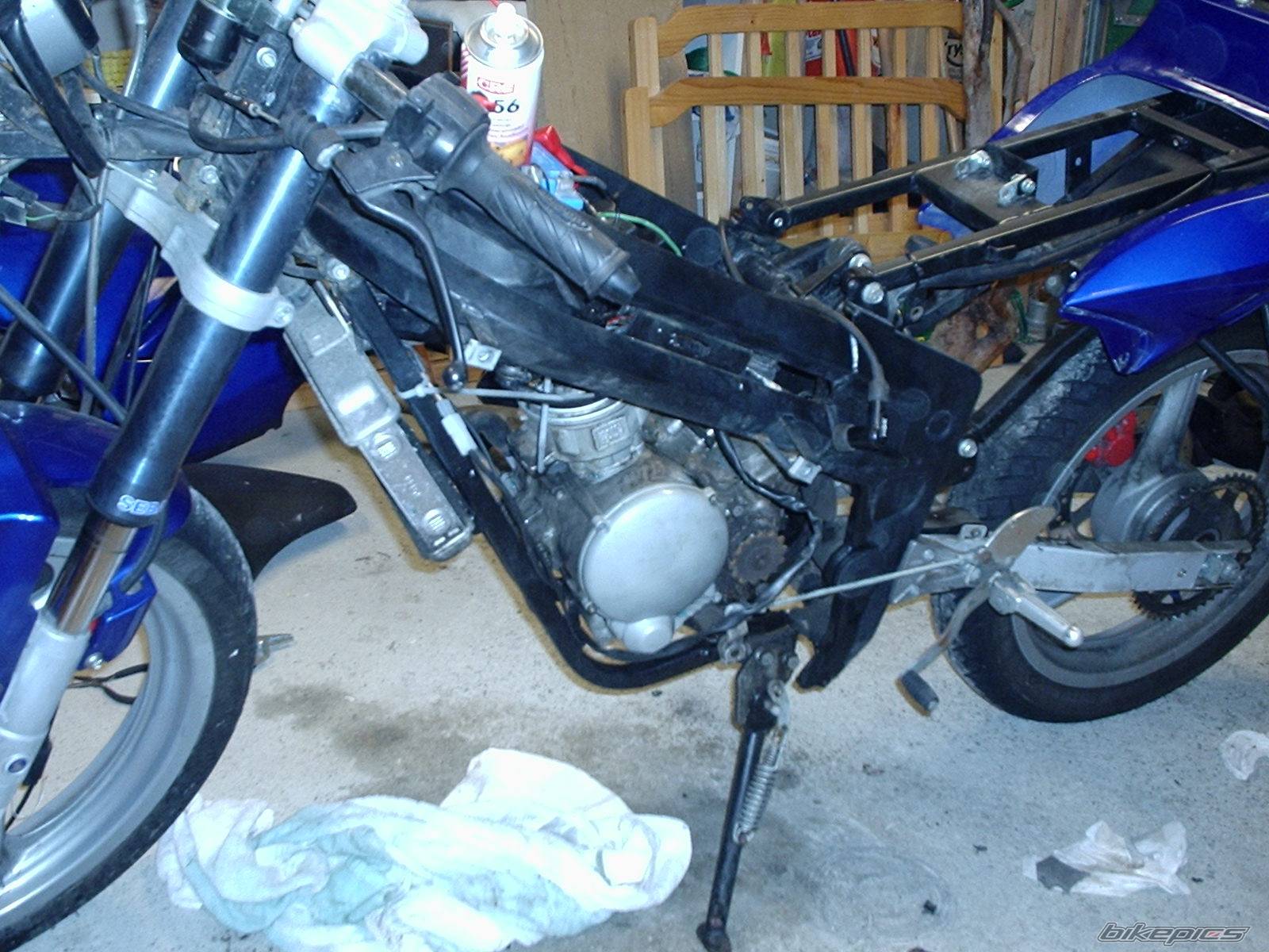 Photo 296766