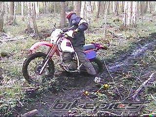 Photo 296885
