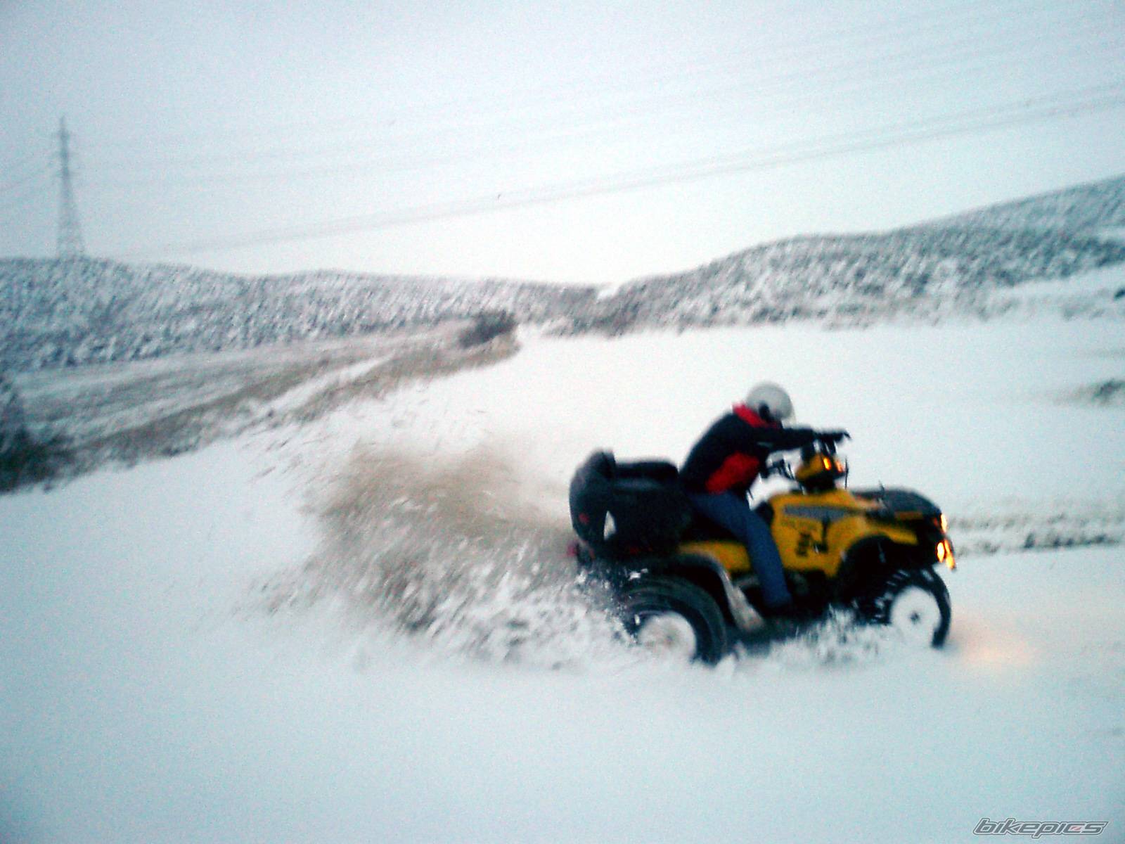 Photo 296894