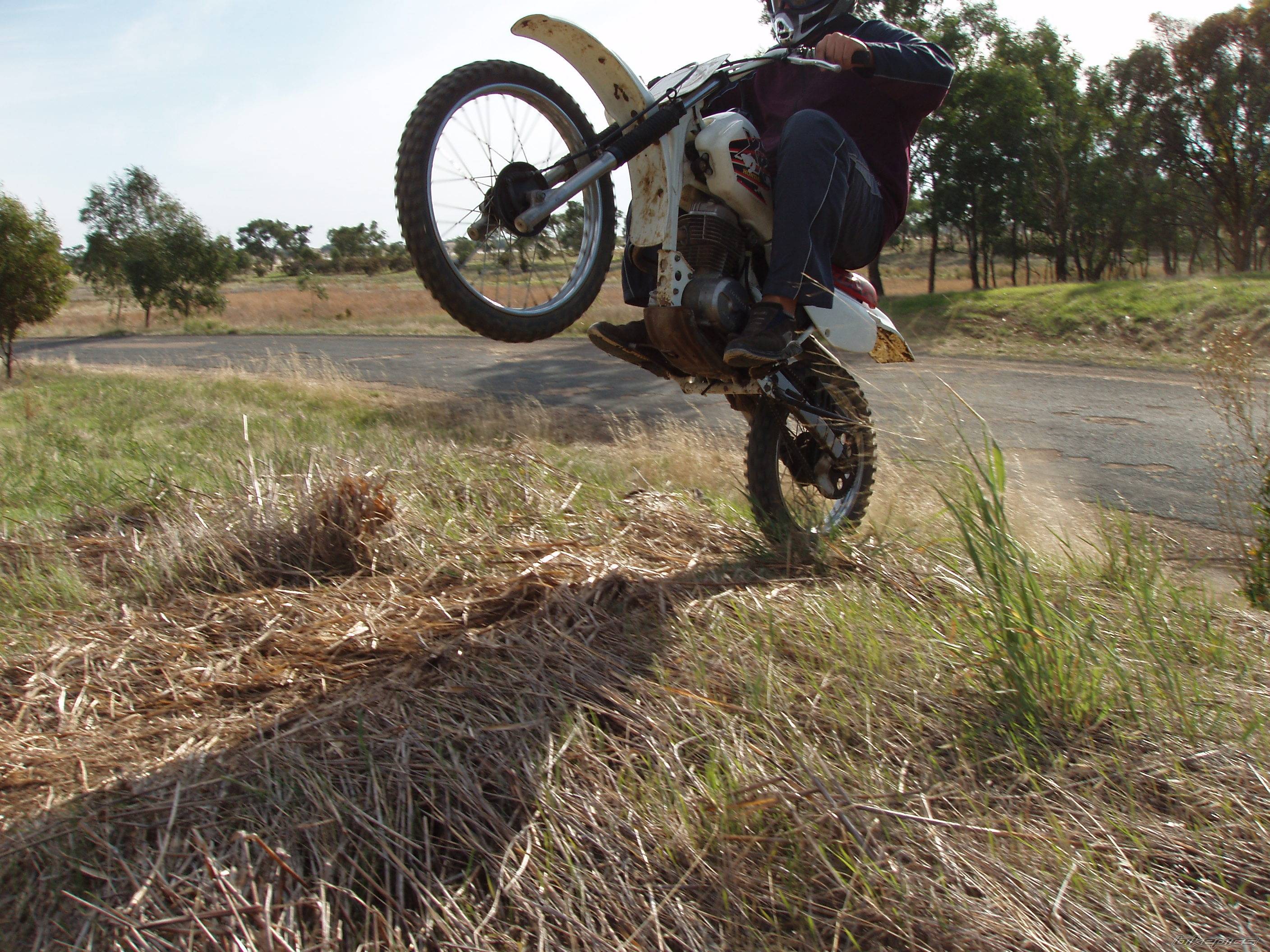 Photo 296936