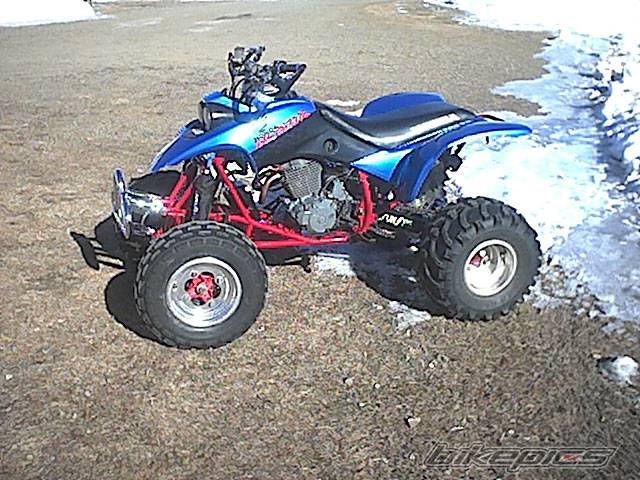 Photo 296954
