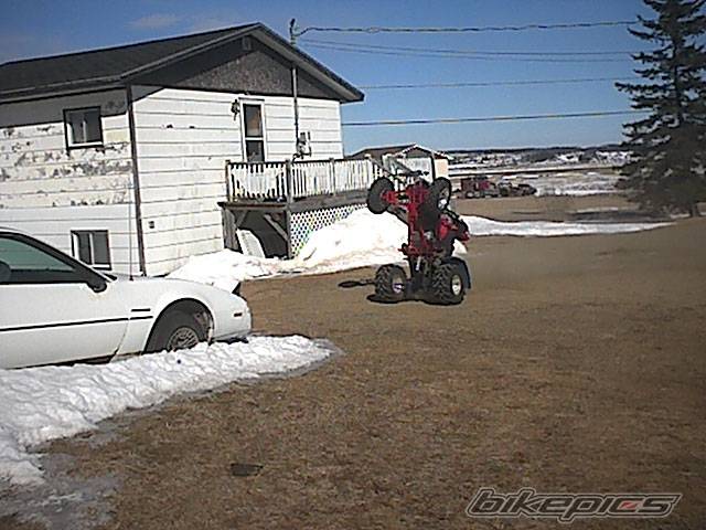 Photo 296955