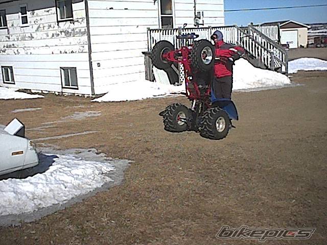 Photo 296957
