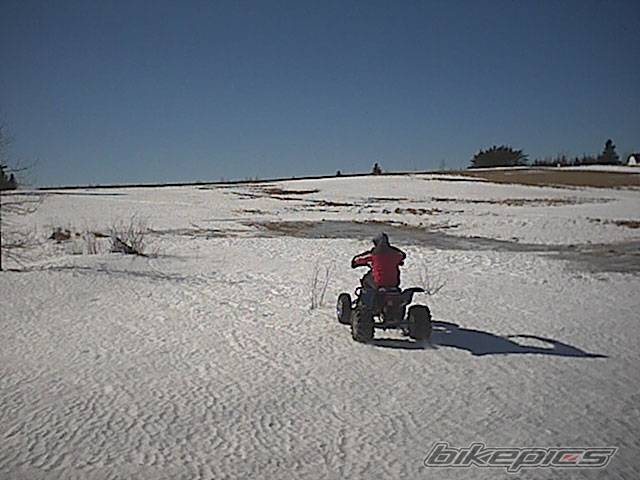 Photo 296958