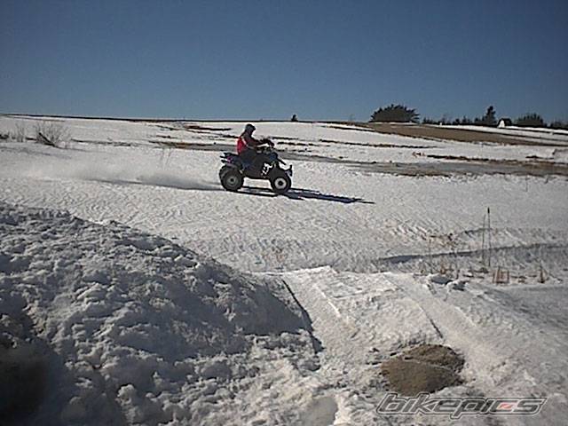 Photo 296959