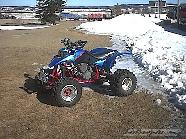 Photo 296960