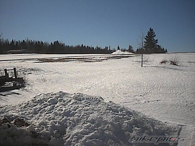 Photo 296961