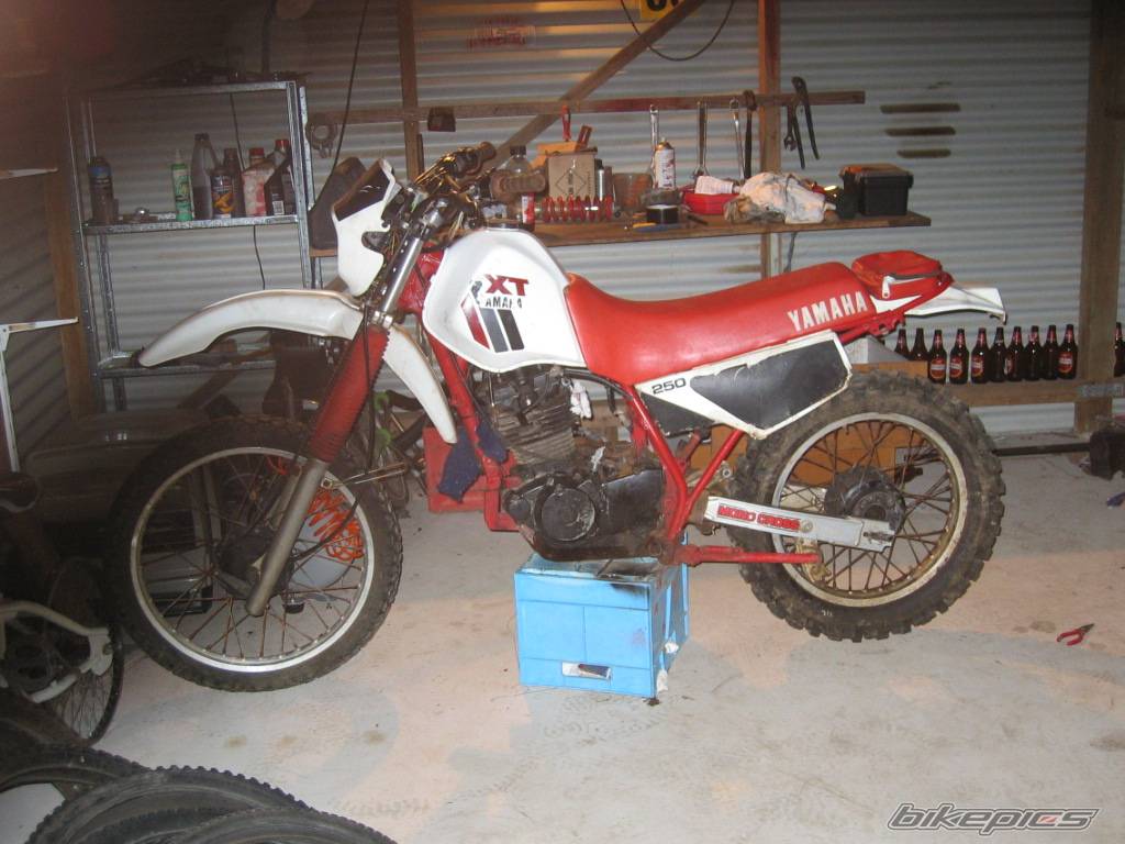 Bike Photo 296990