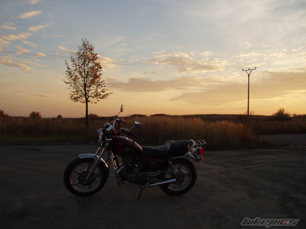 Photo 297000