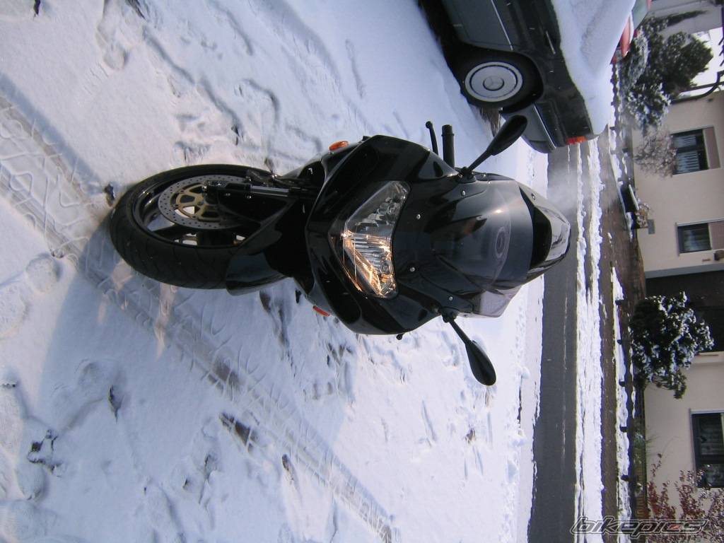 Photo 297099