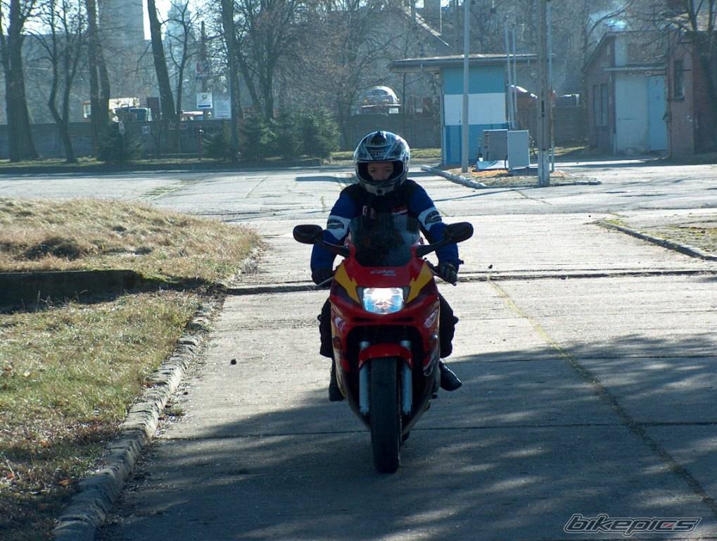 Photo 297117