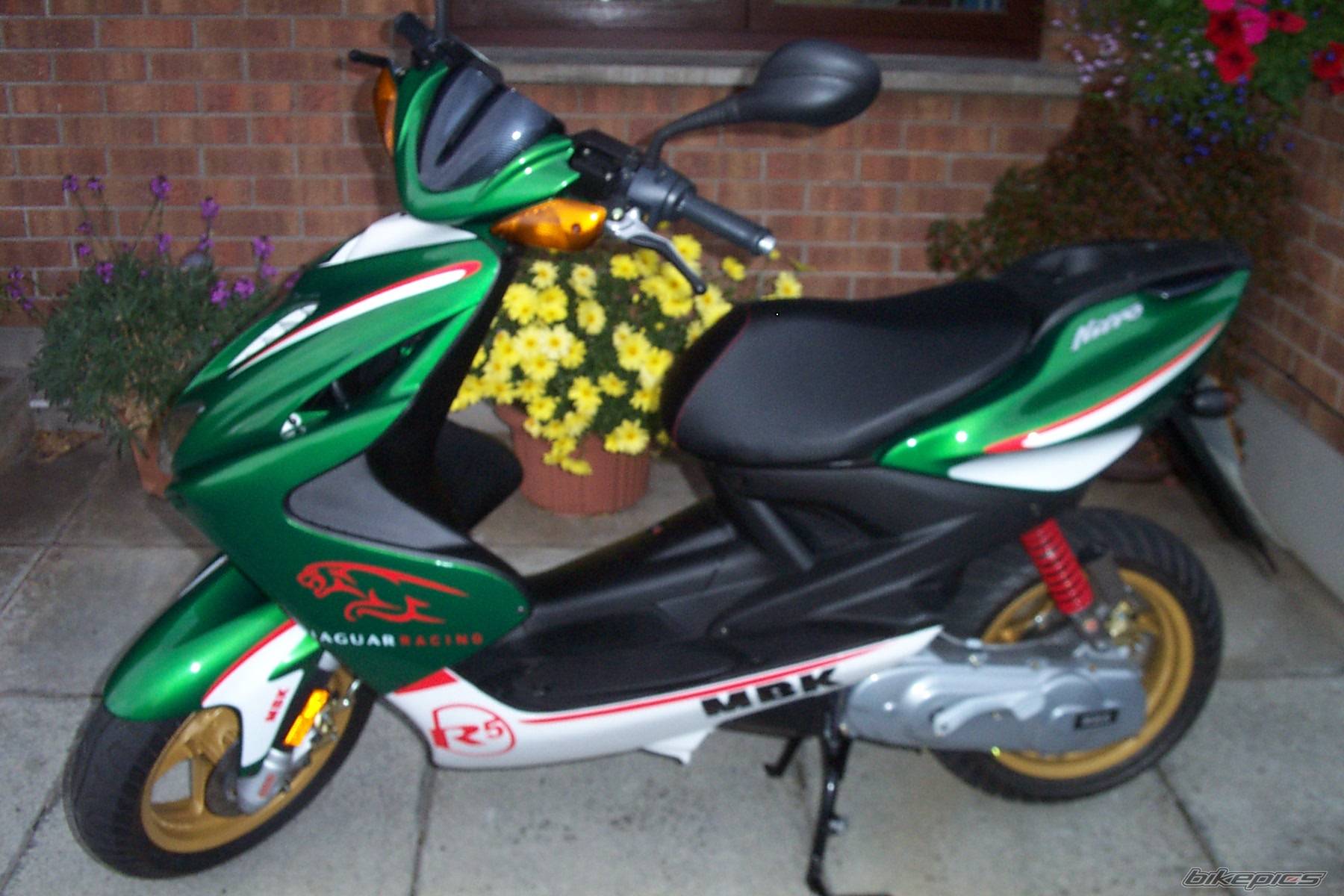 Photo 297122