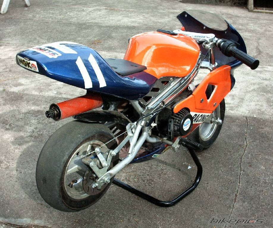 Photo 297133