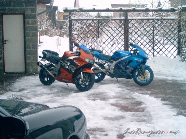 Photo 297161