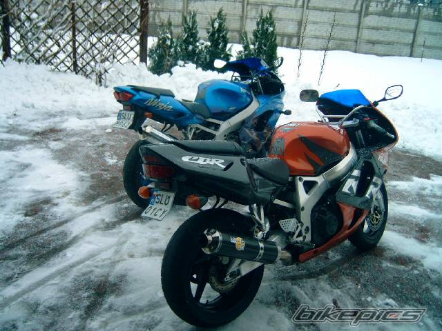 Photo 297162