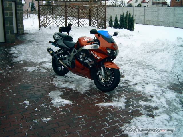 Photo 297163