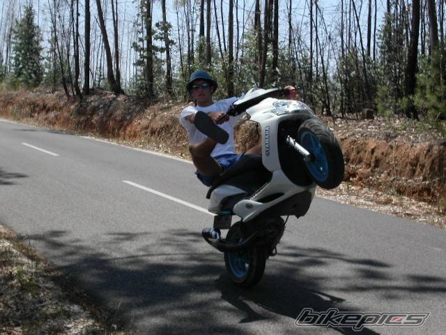 Photo 297187