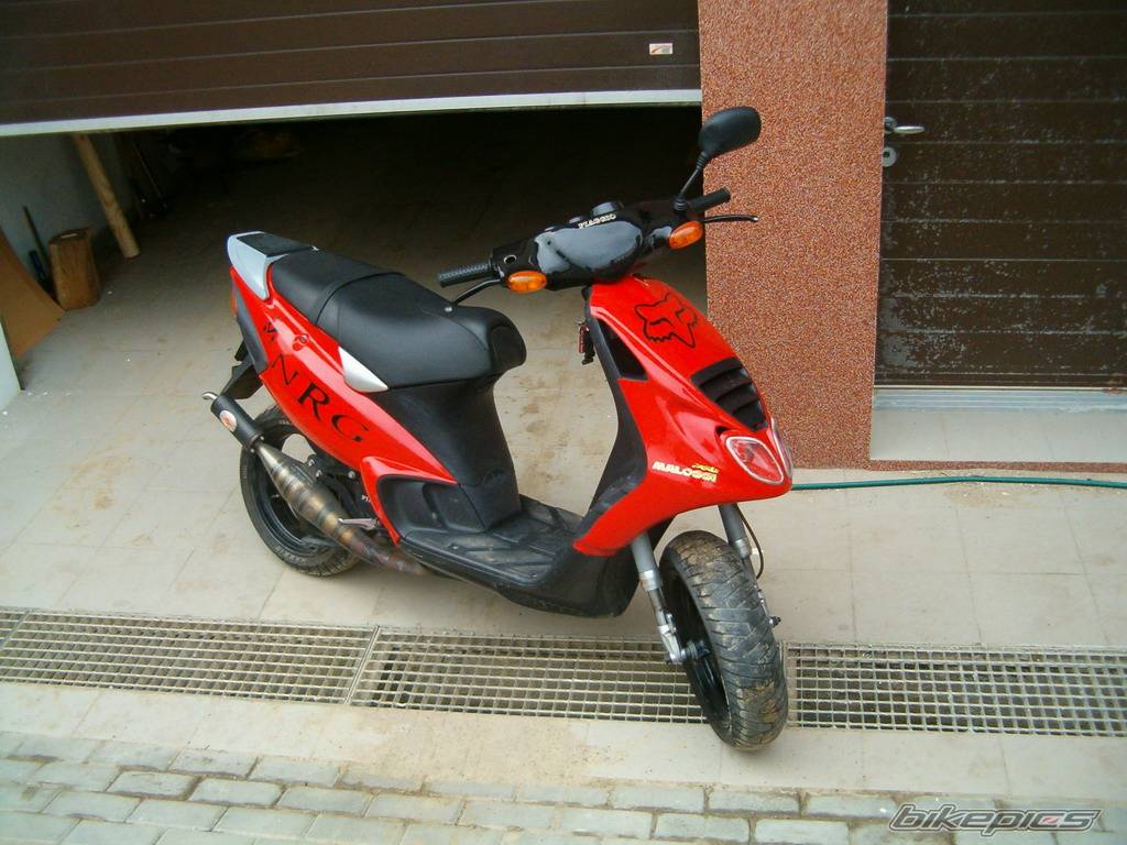 Photo 297254