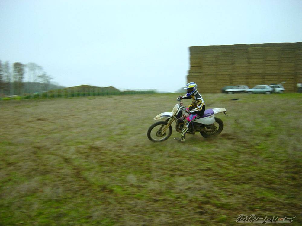 Photo 297282