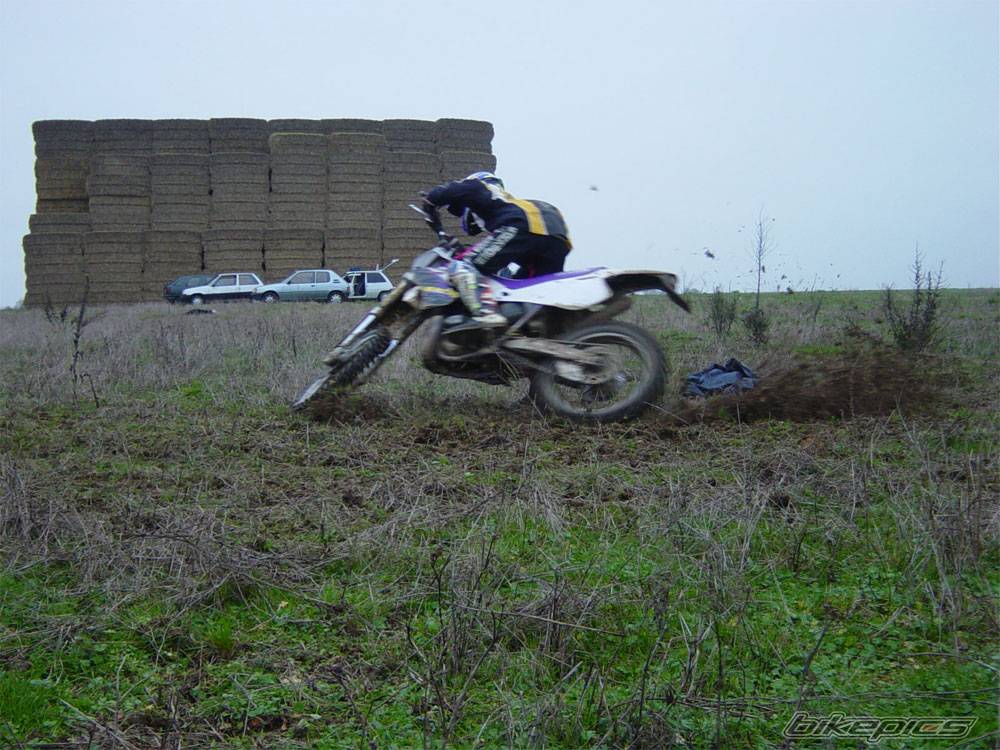 Photo 297284