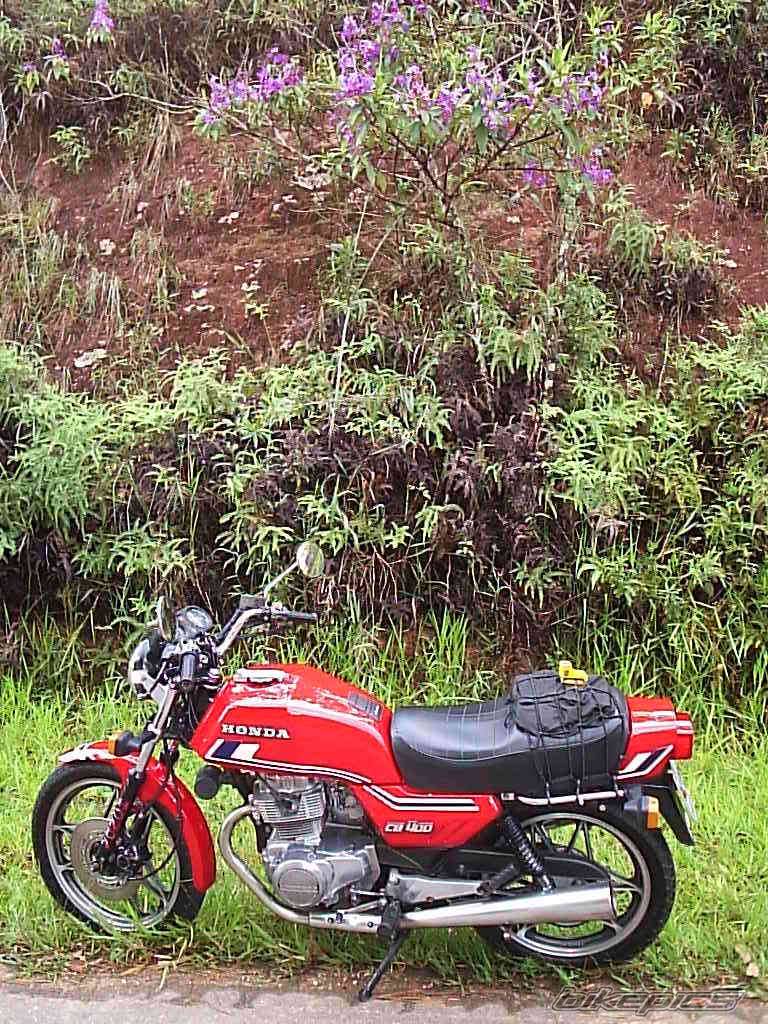 Bike Photo 297306